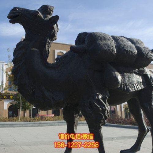 精美駱駝雕塑，點綴廣場，帶來濃濃情懷