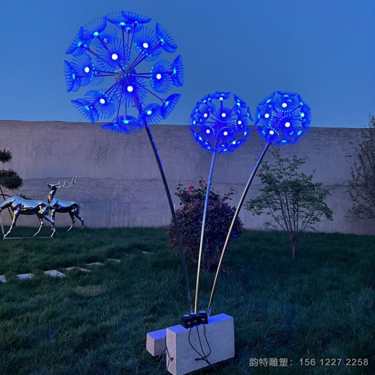 蒲公英50 蒲公英50